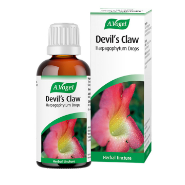 A.Vogel Devil's Claw Harpagophyum Drops 50ml