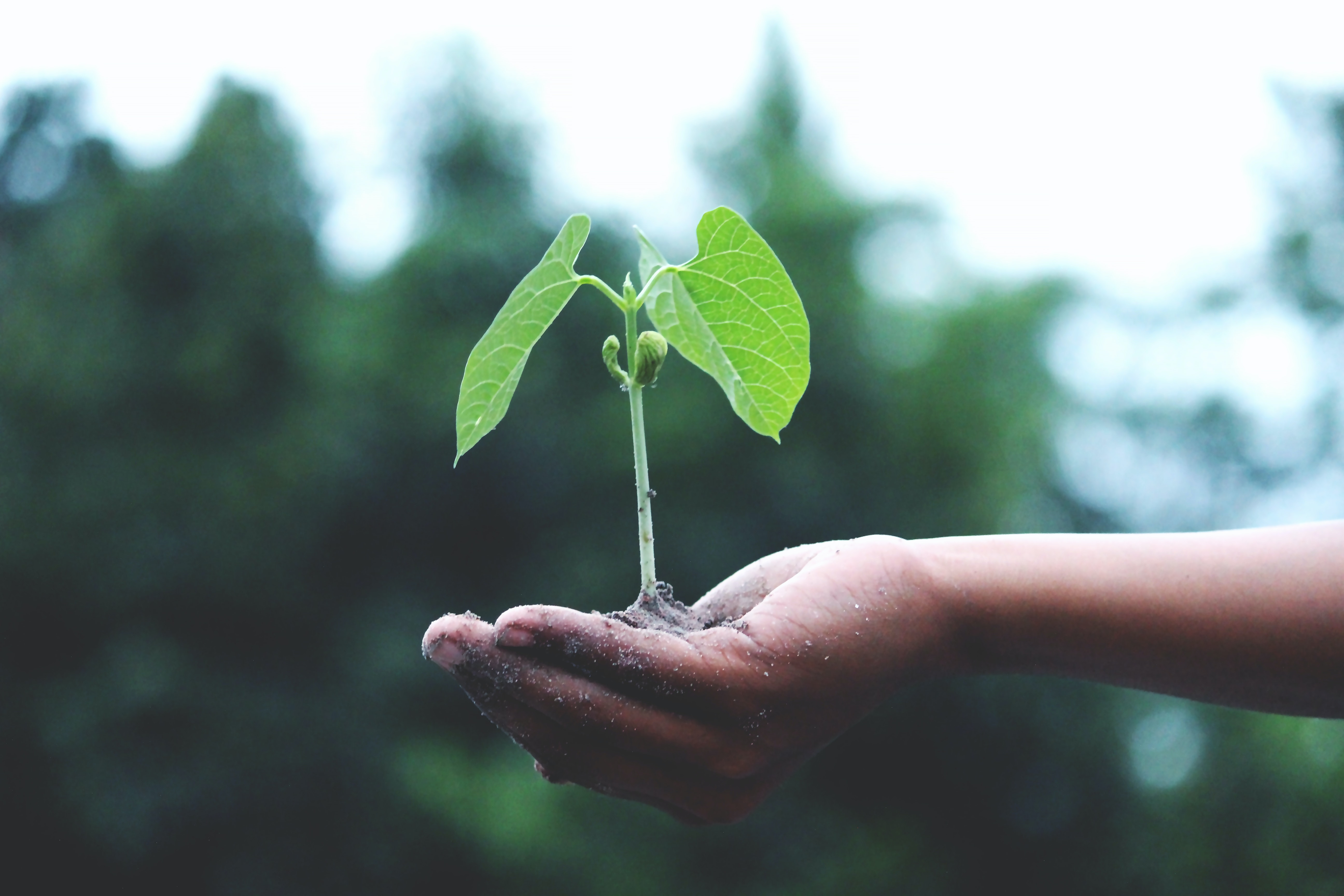 Top Ethical and Environmentally Friendly Beauty Brands at Total Body Care