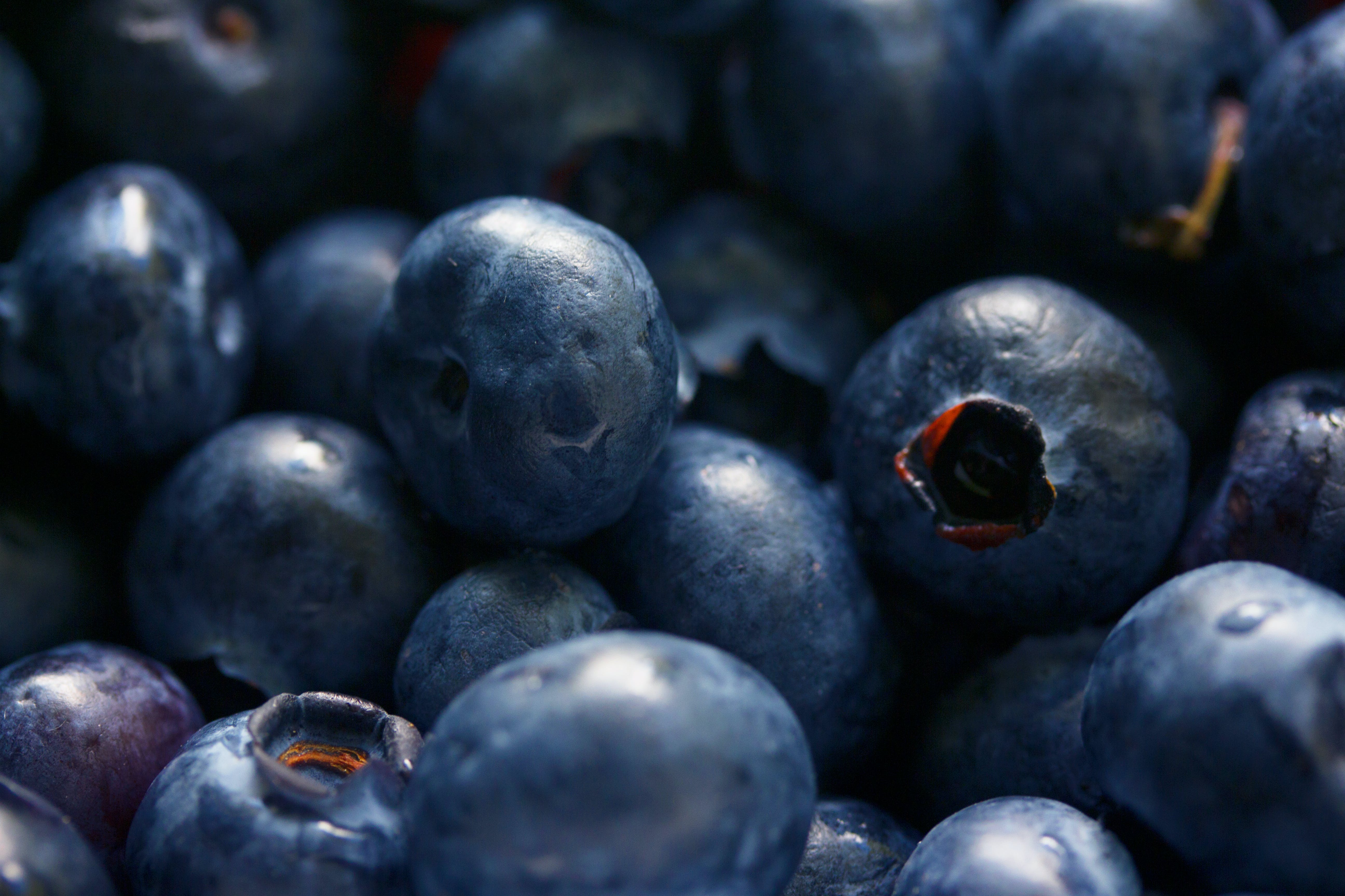 blueberries close up, full of antioxidants